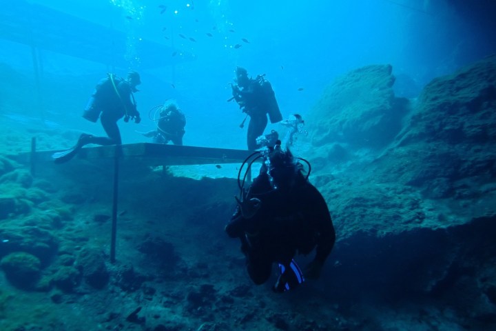 Group of scuba divers exploring an underwater cave.