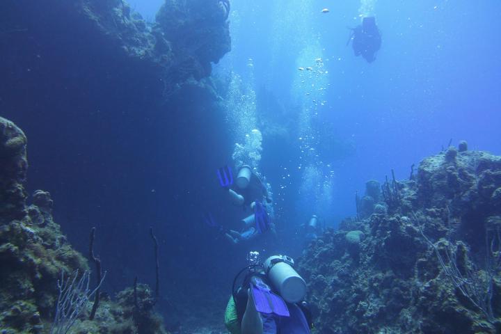 Scuba divers exploring an underwater rocky canyon with visible air bubbles.