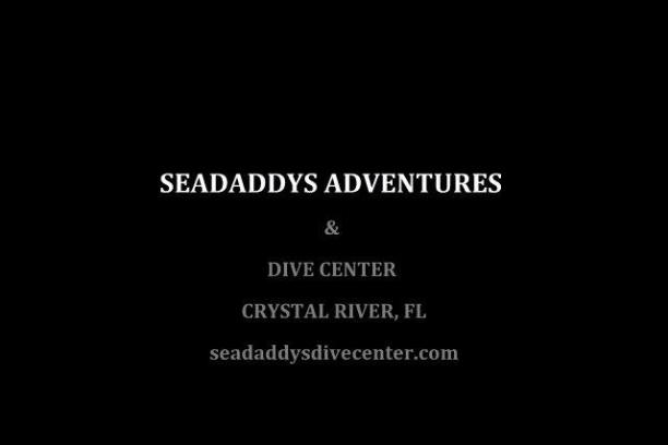 Text in white on black background: Seadaddys Adventures & Dive Center, Crystal River, FL, seadaddysdivecenter.com