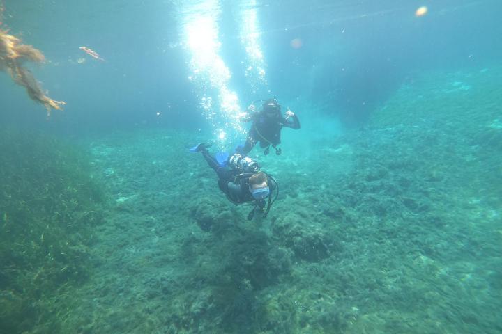 Two scuba divers swimming underwater near a rocky seabed.