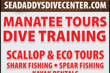 SeaDaddy's Dive Center advert with tours, training, fishing, rentals, and contact info.