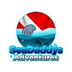 Seadaddy’s Adventures