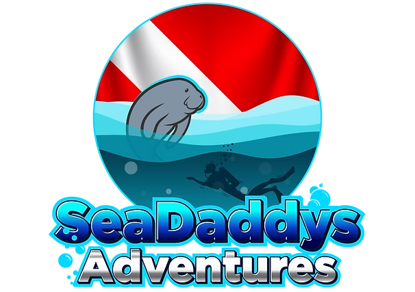 Logo with a diving flag, manatee, diver, and text 'SeaDaddys Adventures'.