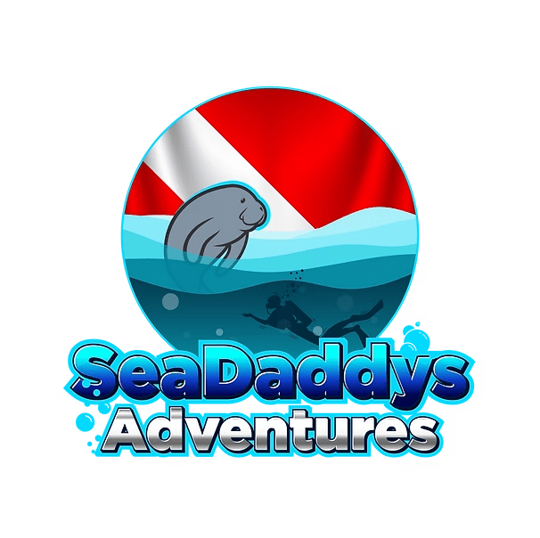 Logo with manatee and diver in water circle, text 'SeaDaddys Adventures' below.
