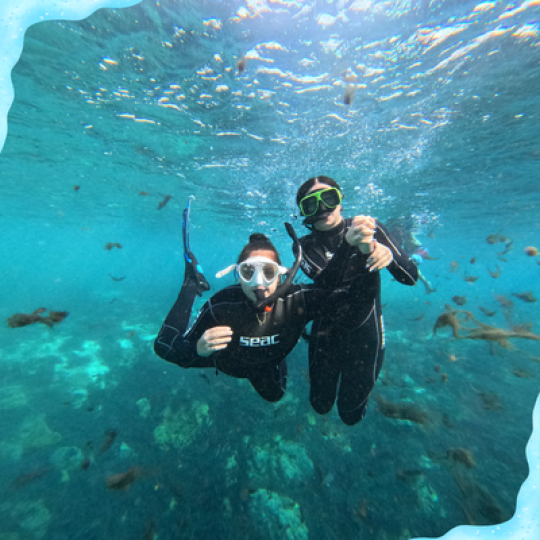 Two people snorkeling underwater with masks in clear blue ocean.