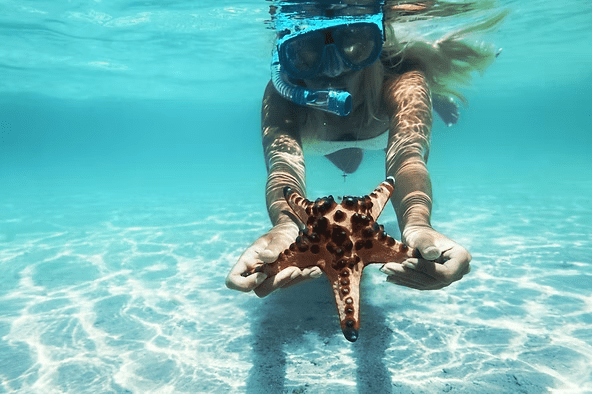 Person snorkeling underwater holding a starfish with clear blue ocean background.