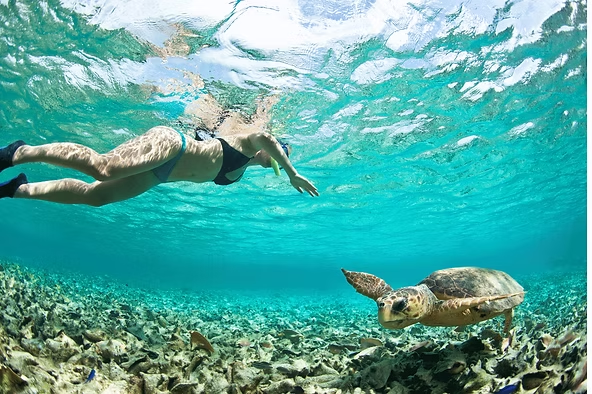 Person snorkeling in clear water near a sea turtle over coral reef.