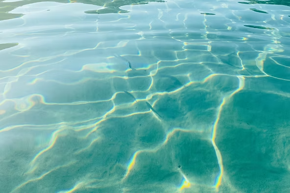 Clear turquoise water surface with sunlight reflections creating wavy patterns.