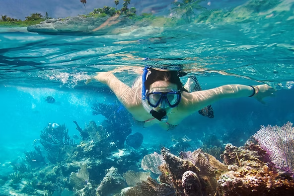 Person snorkeling above colorful coral reef in clear blue water.